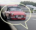 Follow the Leader  (144)